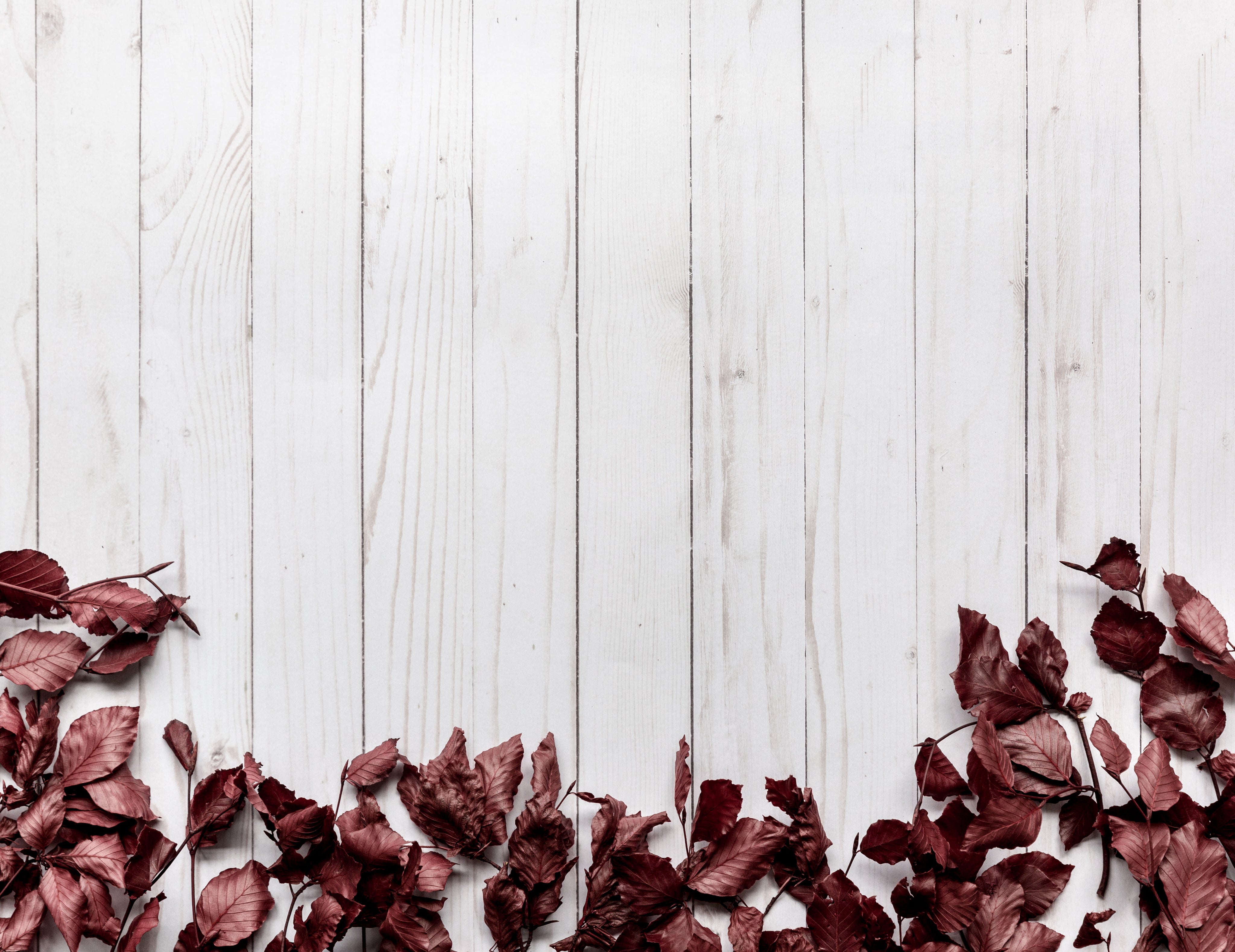 dried-leaves-frame-bottom-on-wood-background.jpg